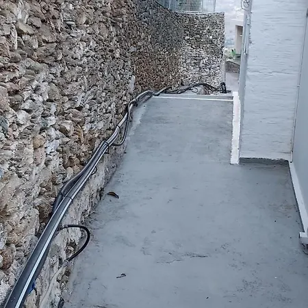 Oasis 2