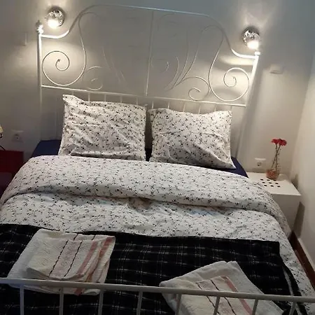 Apartment Oasis 2