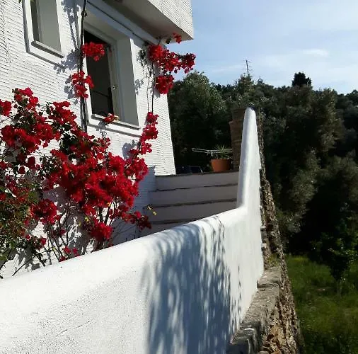 Oasis 2 Apartamento Lamira